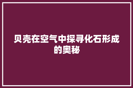 贝壳在空气中探寻化石形成的奥秘 家具修理