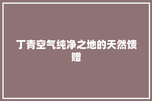 丁青空气纯净之地的天然馈赠 冰箱