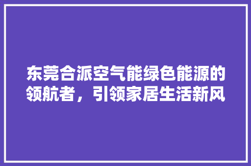 东莞合派空气能绿色能源的领航者，引领家居生活新风尚 洗衣机