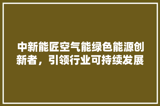 中新能匠空气能绿色能源创新者，引领行业可持续发展 洗衣机