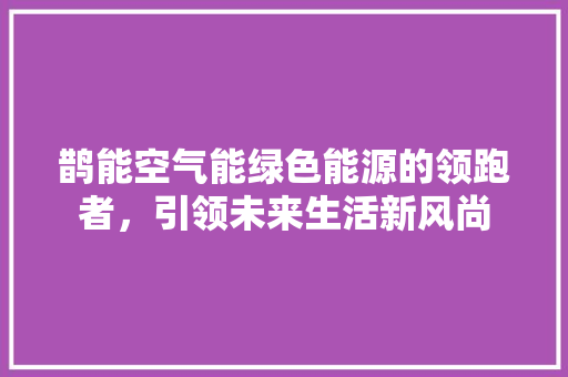 鹊能空气能绿色能源的领跑者，引领未来生活新风尚 清洁保养