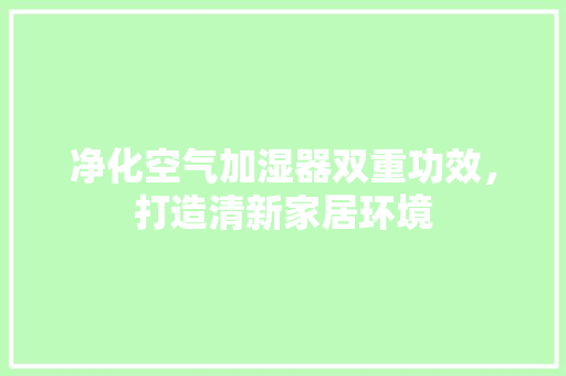 净化空气加湿器双重功效，打造清新家居环境 家具修理