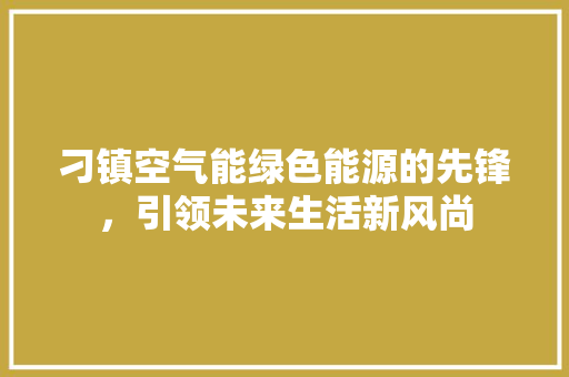 刁镇空气能绿色能源的先锋，引领未来生活新风尚 洗衣机