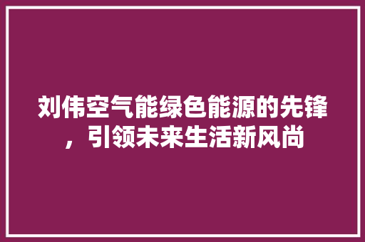 刘伟空气能绿色能源的先锋，引领未来生活新风尚 灯具安装