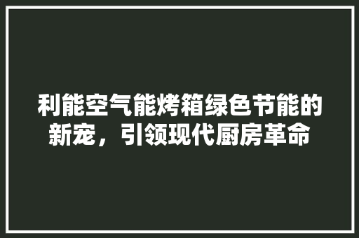 利能空气能烤箱绿色节能的新宠，引领现代厨房革命 冰箱