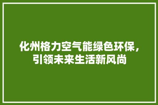 化州格力空气能绿色环保，引领未来生活新风尚 水电维修