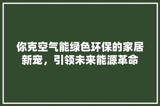 你克空气能绿色环保的家居新宠，引领未来能源革命 局部翻新