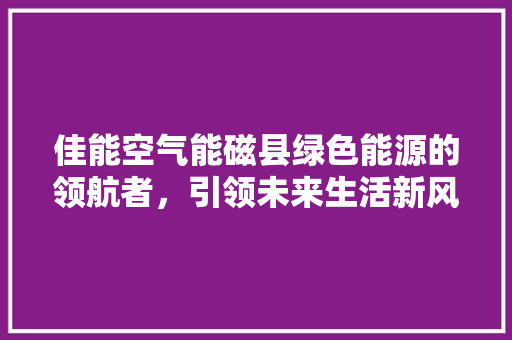 佳能空气能磁县绿色能源的领航者，引领未来生活新风尚 贴膜