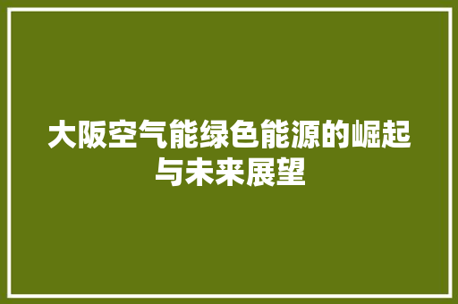 大阪空气能绿色能源的崛起与未来展望 灯具安装