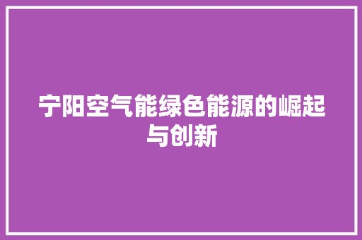 宁阳空气能绿色能源的崛起与创新 家居维修