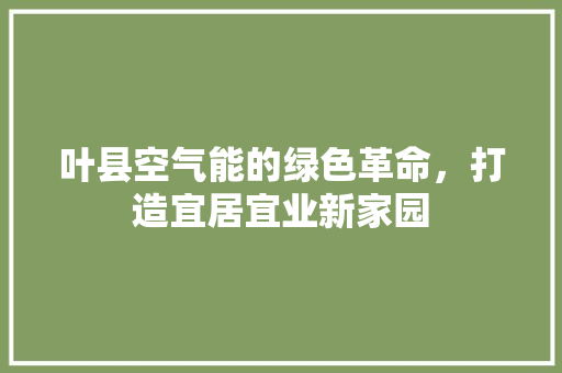 叶县空气能的绿色革命，打造宜居宜业新家园 灯具安装
