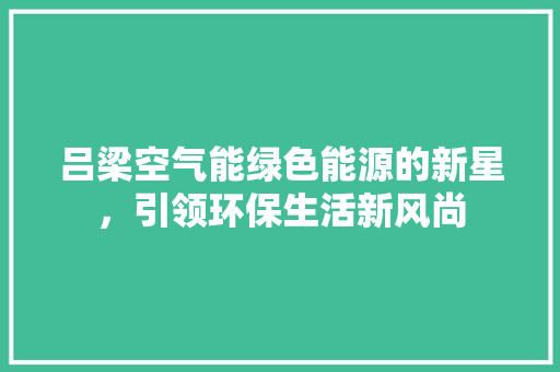 吕梁空气能绿色能源的新星，引领环保生活新风尚 家具修理