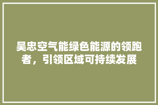 吴忠空气能绿色能源的领跑者，引领区域可持续发展 家居维修