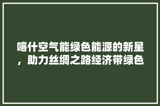 喀什空气能绿色能源的新星，助力丝绸之路经济带绿色发展 热水器