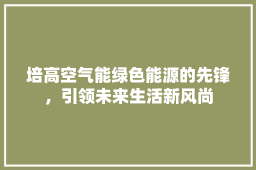 培高空气能绿色能源的先锋，引领未来生活新风尚 局部翻新