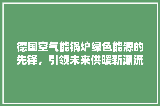德国空气能锅炉绿色能源的先锋，引领未来供暖新潮流 清洁保养
