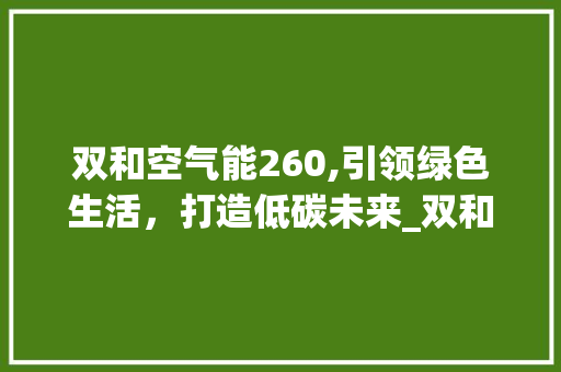 双和空气能260,引领绿色生活，打造低碳未来_双和空气能260 双和空气能260,引领绿色生活，打造低碳未来_双和空气能260 洗衣机