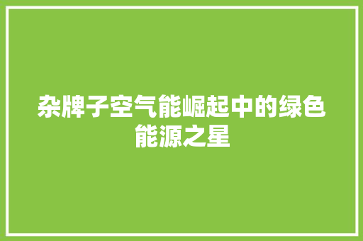 杂牌子空气能崛起中的绿色能源之星 清洁保养