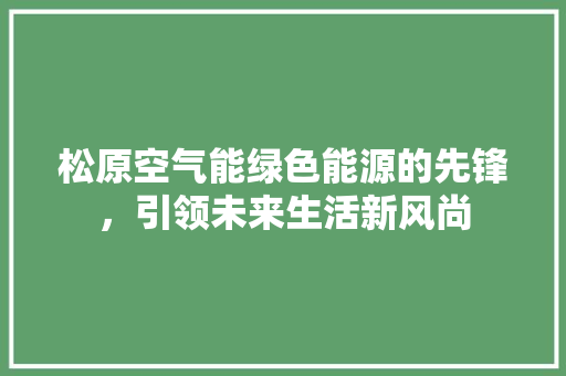 松原空气能绿色能源的先锋，引领未来生活新风尚 装修设计
