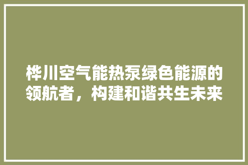 桦川空气能热泵绿色能源的领航者，构建和谐共生未来 空调