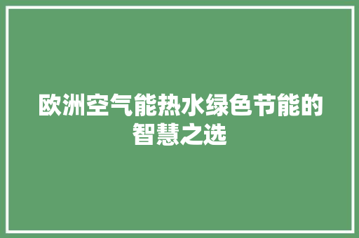 欧洲空气能热水绿色节能的智慧之选 水电维修