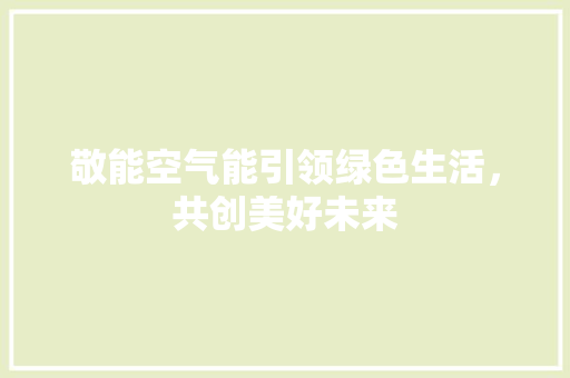 敬能空气能引领绿色生活，共创美好未来 空调