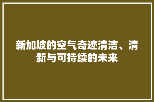 新加坡的空气奇迹清洁、清新与可持续的未来 龙头管件