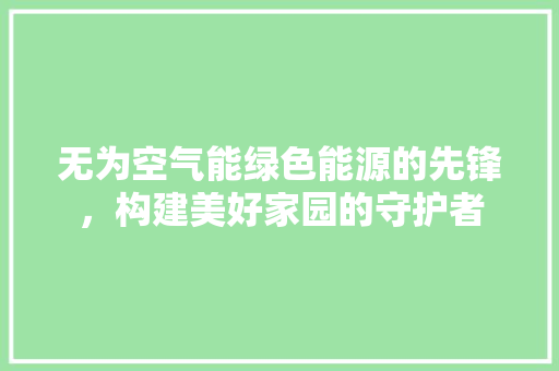 无为空气能绿色能源的先锋，构建美好家园的守护者 洗衣机