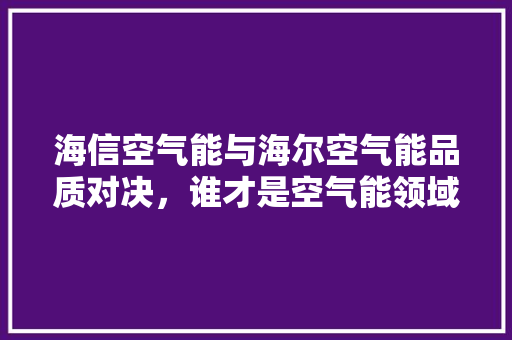 海信空气能与海尔空气能品质对决，谁才是空气能领域的领航者 家居维修