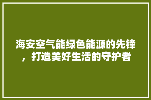 海安空气能绿色能源的先锋，打造美好生活的守护者 清洁保养