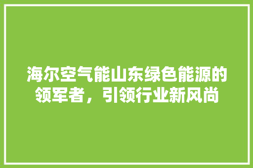 海尔空气能山东绿色能源的领军者，引领行业新风尚 翻新改色