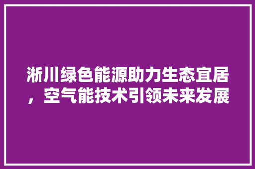 淅川绿色能源助力生态宜居，空气能技术引领未来发展 空调