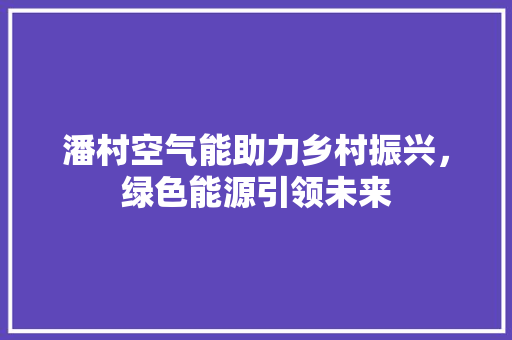 潘村空气能助力乡村振兴，绿色能源引领未来 洗衣机