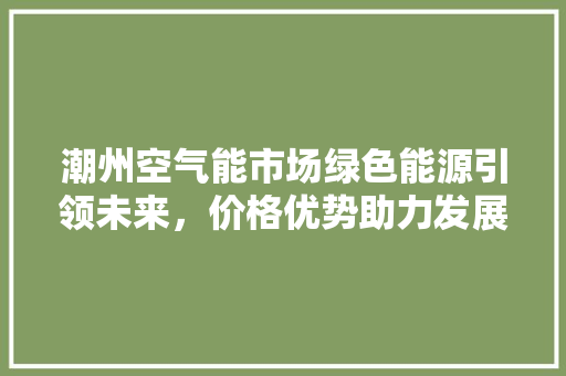 潮州空气能市场绿色能源引领未来，价格优势助力发展 冰箱