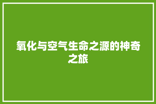 氧化与空气生命之源的神奇之旅 翻新改色