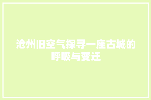 沧州旧空气探寻一座古城的呼吸与变迁 贴膜