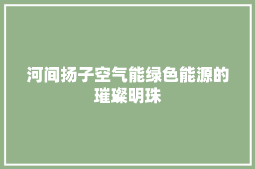 河间扬子空气能绿色能源的璀璨明珠 空调