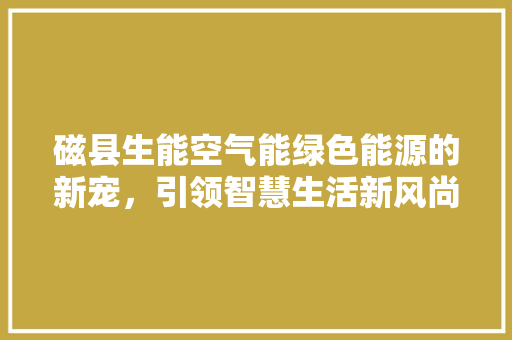 磁县生能空气能绿色能源的新宠，引领智慧生活新风尚 龙头管件