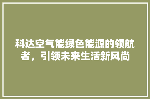 科达空气能绿色能源的领航者，引领未来生活新风尚 清洁保养