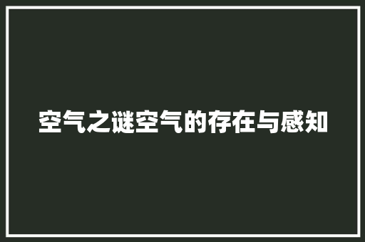 空气之谜空气的存在与感知 龙头管件