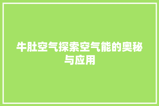 牛肚空气探索空气能的奥秘与应用 水电维修