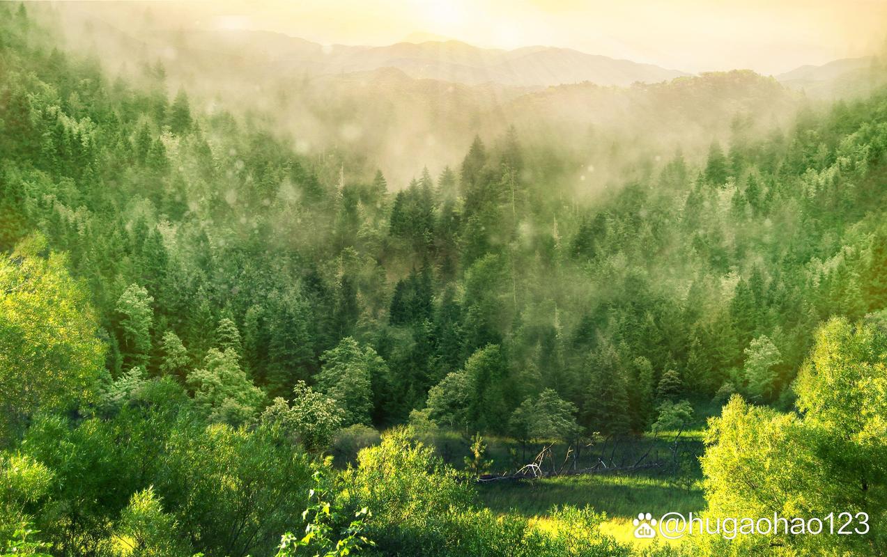 乐山空气能_绿色能源领域的领军者，诚邀您的加入！_乐山空气能招聘 乐山空气能_绿色能源领域的领军者，诚邀您的加入！_乐山空气能招聘 家具修理