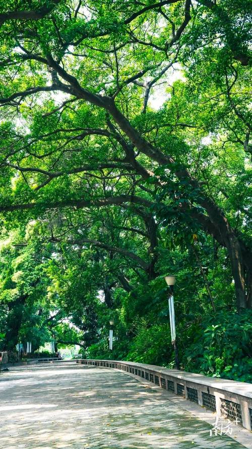 中堂空气能地暖,绿色节能的新选择_中堂空气能地暖 中堂空气能地暖,绿色节能的新选择_中堂空气能地暖 空调