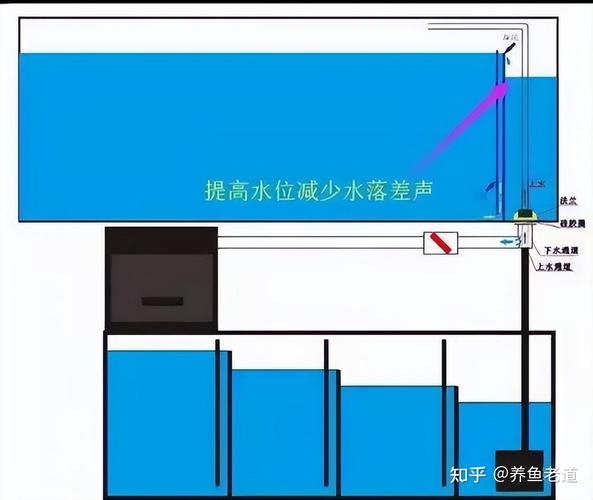 介绍空气泵养鱼的奥秘,技术创新助力绿色生态养殖_空气泵能养鱼吗 介绍空气泵养鱼的奥秘,技术创新助力绿色生态养殖_空气泵能养鱼吗 空调