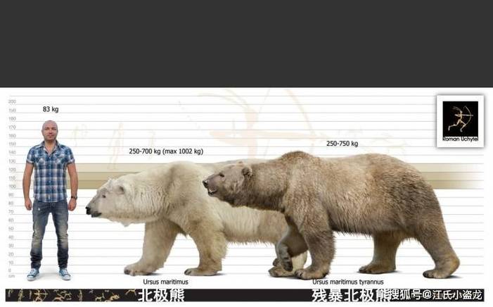 北极熊的“冷”与“热”,空气能助力北极熊生存挑战_北极熊空气能 北极熊的“冷”与“热”,空气能助力北极熊生存挑战_北极熊空气能 旧房改造