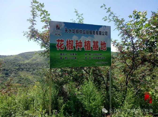 天水空气能花椒机,绿色高效，花椒产业的“绿色引擎”_天水空气能花椒机 天水空气能花椒机,绿色高效，花椒产业的“绿色引擎”_天水空气能花椒机 旧房改造