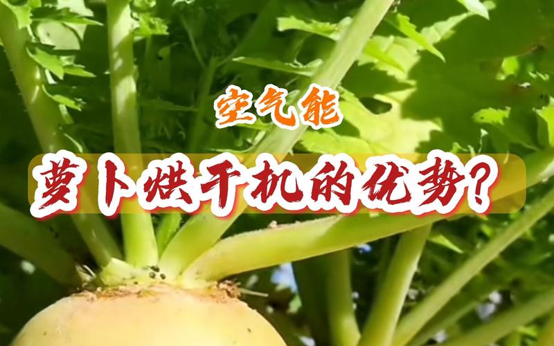 太仓酒店空气能烘干技术,绿色节能的烘干新潮流_太仓酒店空气能烘干 太仓酒店空气能烘干技术,绿色节能的烘干新潮流_太仓酒店空气能烘干 空调