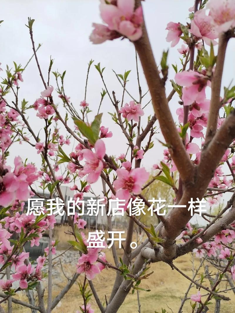 兰考空气能热泵价格分析,节能环保的暖通新宠_兰考空气能热泵价格 兰考空气能热泵价格分析,节能环保的暖通新宠_兰考空气能热泵价格 旧房改造